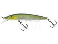 Hard lure Illex Rerange 95 SP 10.9g - SG Ayu