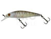 Hard Lure Illex Squad Minnow 95 SP - Tiger Bone