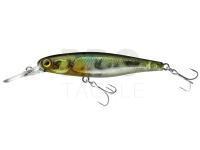 Hard Lure Illex Squirrel 61 SP - NF Ayu