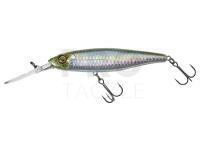 Hard lure Illex Twitch Flesh 95 D2R 18.3g - HS Minnow