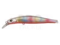 Hard Lure Artist FR105 | 105mm 15g - LRO