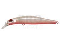 Hard Lure Artist FR105 | 105mm 15g - PWR