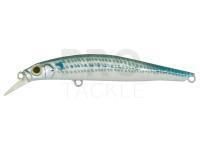 Hard Lure Artist FR70 | 70mm 6g - RBO