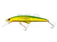 Hard Lure G-Controlling 180 | 18cm 75g - GGO