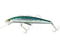 Hard Lure G-Controlling 180 | 18cm 75g - SBA