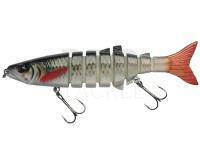 Hard Lure Jaxon Atract Ameo 12cm 19g - G