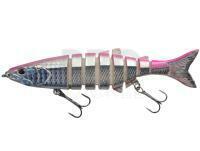 Hard Lure Jaxon Atract Ameo 12cm 19g - H
