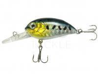 Hard Lure Jaxon Atract Aris 4cm 4.8g Floating - C