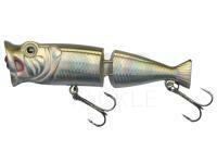 Hard Lure Jaxon Atract Jointed Popper 8cm 11g - B