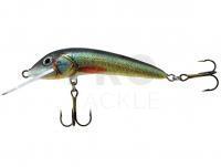 Lure Jaxon Ferox 10cm F Color UK