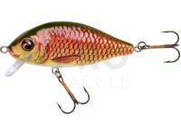 Hard lure Jaxon Holo Select Karaś Nature 3D 7cm 13g - PG
