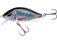 Hard lure Jaxon Holo Select Karaś Nature 3D 8cm 14g - PN