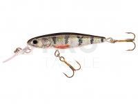 Hard Lure Jaxon Holo Select Manga DR 5cm 8g - OK