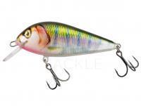 Hard Lure Kenart Bass 7cm 12g - PP