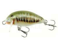 Hard lure Kenart Chubby 4cm 3.5g - M