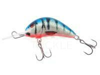 Lure Kenart Diver 4cm PB