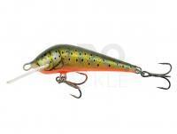 Lure Kenart Dynamic 5cm TR