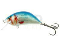 Hard lure Kenart Hunter Plus 6cm 13g - NRB