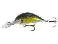 Lure Kenart Shark 4cm GF