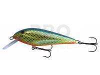 Hard Lure Kenart Troll F 10cm 20g - YH