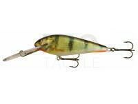 Hard Lure Kenart Troll SDR 10cm 22g - PG