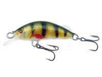 Lure Kenart Winner 2,5cm PG