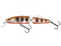 Lure Salmo Fanatic IF7F 7cm - Hot Yam (HY)