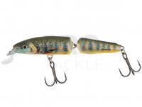 Lure Salmo Fanatic IF7F 7cm - Lake Charr (LC)