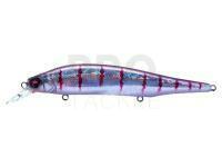 Hard Lure Megabass Ito Shiner 115 SP | 115mm 14g (SP-C) - GG COLD BOLT