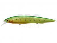 Hard Lure Megabass Kanata Ayu SW 160mm 30g - GLX GREEN BACK CHART