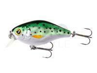 Hard lure Mikado Fishunter Bold Head 40mm 3.5g - Rainbow Trout