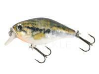 Hard lure Mikado Fishunter Bold Head 40mm 3.5g - Y36