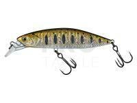 Hard Lure Molix Rolling Minnow 60mm 8.5g - 512 MX Brown Trout