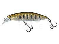 Hard Lure Molix Rolling Minnow 85mm 14.5g - 512 MX Brown Trout