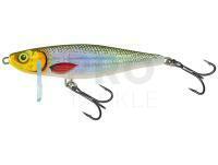 Lure Salmo Thrill TH7S - Silver Halo