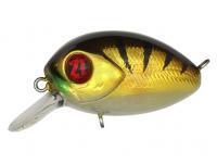 Hard Lure Pontoon21 Baby Red Rag 32F SR | 32mm 4.8g - 307 Crash HG Gold Perch