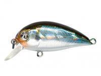 Hard Lure Pontoon21 Hypnose 38F SR | 38mm 3.7g - 005 Crash HG Wakasagi