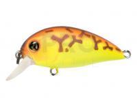 Hard Lure Pontoon21 Hypnose 38F SR | 38mm 3.7g - 075 Chartreuse Brown