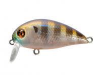 Hard Lure Pontoon21 Hypnose 38F SSR | 38mm 3.8g - 108 Ghost Gill