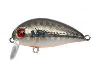 Hard Lure Pontoon21 Hypnose 38F SSR | 38mm 3.8g - 211 Dark Side OB