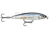 Lure Rapala X-Rap Magnum Prey 10cm 41g - ANC Anchovy