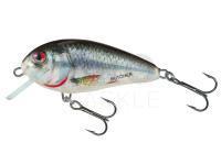 Hard Lure Salmo Butcher BR5S | 5cm 7g - HRD (Holographic Real Dace)