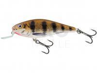 Lure Salmo Executor IEX12SR - Emerald Perch