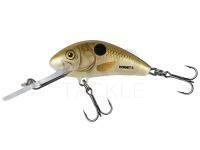 Hard lure Salmo Hornet 4cm 3.1g F - Pearl Shad