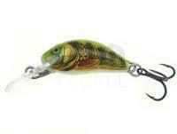 Salmo Hornet H2S  RIP