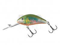 Lure Salmo Hornet H5F Holo Oikawa