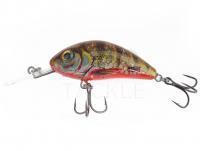 Lure Salmo Hornet Rattlin H3.5 -  Yellow Holographic Perch