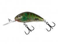 Lure Salmo Hornet Rattlin H4.5 - Green Gill Clear