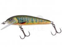 Hard Lure Salmo Minnow Sinking 7 | 7cm 8g | 2 3/4" 1/4 oz - Lake Charr