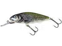 Lure Salmo Perch PH8DR - Holo Bleak